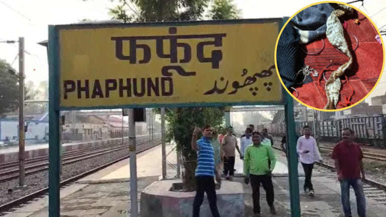 नागिन बन गई, बिस्तर पर छोड़ी केंचुली…  युवती ने रची फरार होने की साजिश