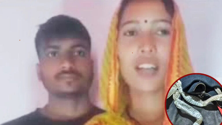 सब परिवार का ड्रामा था... 'नागिन' बनी लापता युवती पति संग पहुंची कोर्ट