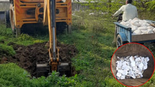 पार्टी में परोसा जाना था 650 किलो जहरीला पनीर, खाद्य विभाग ने JCB से किया नष्ट; बच गईं हजारों जानें