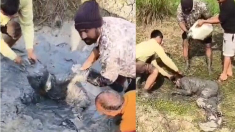 कानपुर देहात में नोएडा-दिल्ली जैसा कांड..गड्ढे में गिरा युवक, तोड़ा दम