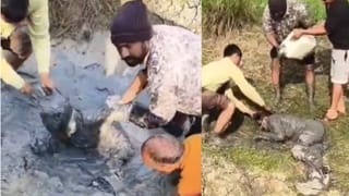 कानपुर देहात में नोएडा-दिल्ली जैसा कांड…बाइक समेत गड्ढे में गिरा युवक, ठंड में अकड़कर तोड़ा दम