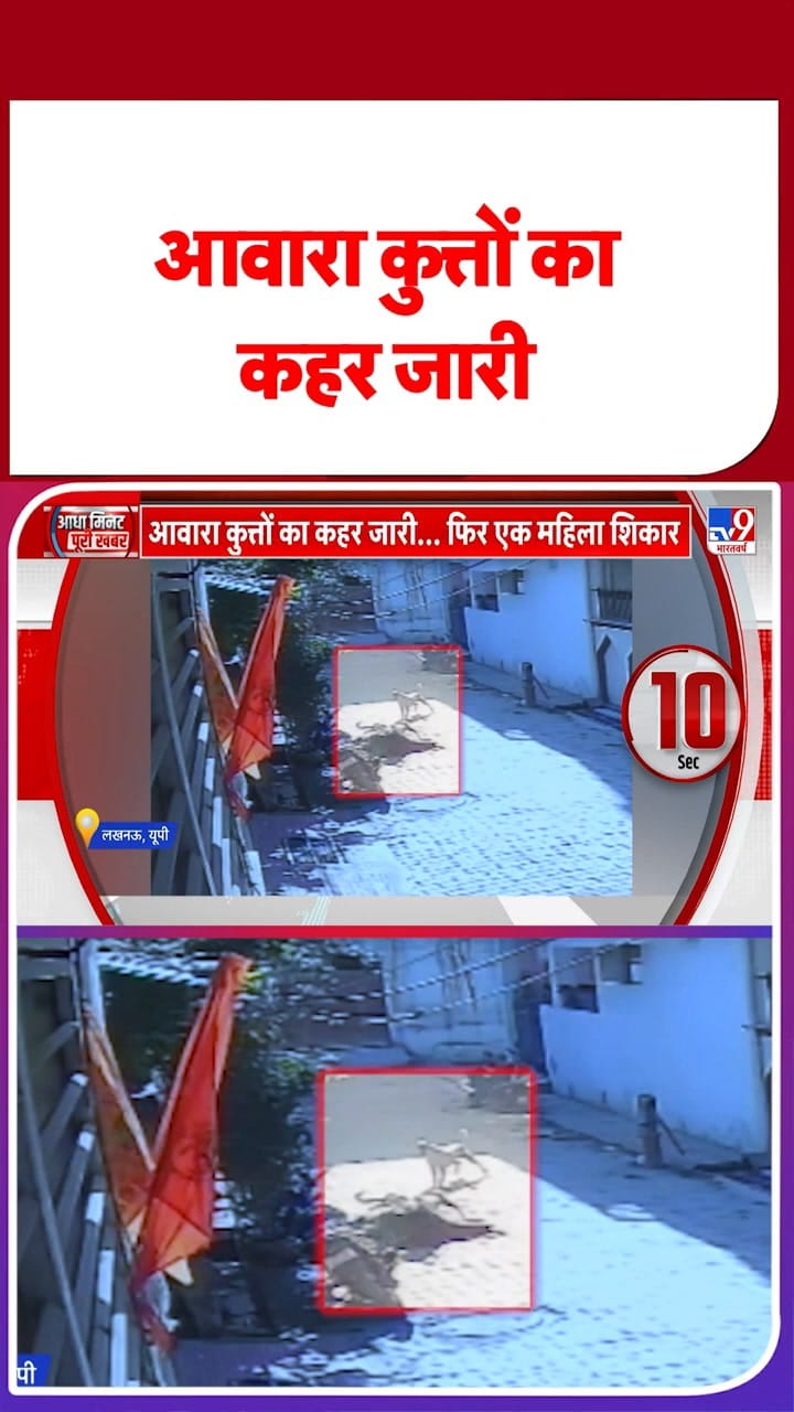 Lucknow Stray News: आवारा कुत्तों का कहर जारी