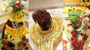 विश्वनाथ मंदिर के कपाट खुलते जयकारों से गूंज उठी काशी, 45 घंटे लगातार दर्शन देंगे बाबा; Photos