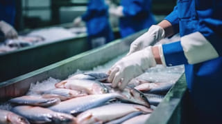 30 कंपनियां, 1407 करोड़ का निवेश… यूपी में 2000 लोगों को मिलने वाला है रोजगार