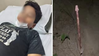 ग्रेटर नोएडा वेस्ट: दोस्तों संग होली खेल रहा था 14 साल का बच्चा, मुंह में घुस गया पार्क में लगा सरिया