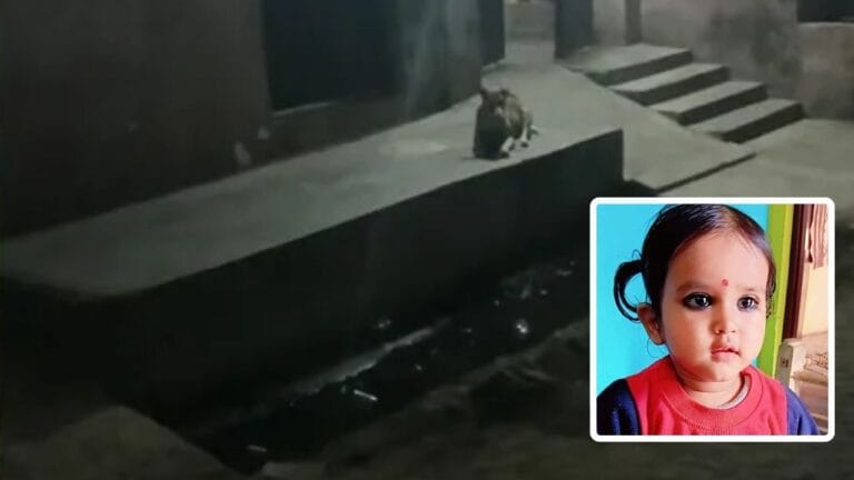 हापुड़ में नोएडा जैसी घटना, नाले में गिरकर ढाई साल की मासूम की मौत