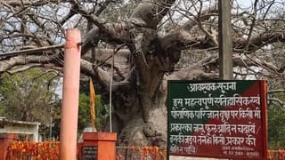 द्वापर में स्वर्ग से आए पारिजात वृक्ष, कलयुग में हुए बीमार; इलाज में जुटे वैज्ञानिक