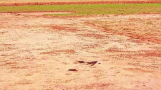 यूपी में अब खतौनी जांच के बाद ही होगी जमीनों की रजिस्ट्री, जालसाजी रोकने में मिलेगी मदद