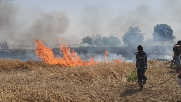 औरैया: 200 बीघा गेहूं की फसल जलकर राख, 3 गावों के किसानों पर टूटा संकट