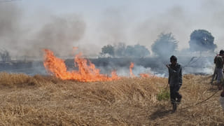 बिजली के तारों से निकली चिंगारी, 200 बीघा गेहूं की फसल जलकर राख… औरैया में किसानों पर टूटा संकट
