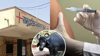 30 लोगों ने पिया था दूध, अब पहुंचे अस्पताल… गोरखपुर में भैंस के मरने से क्यों मचा हड़कंप?