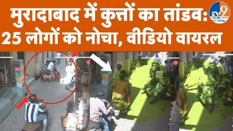 Moradabad: आवारा कुत्तों का खूनी तांडव, 25 घायल, CCTV में कैद हुआ Live हमला
