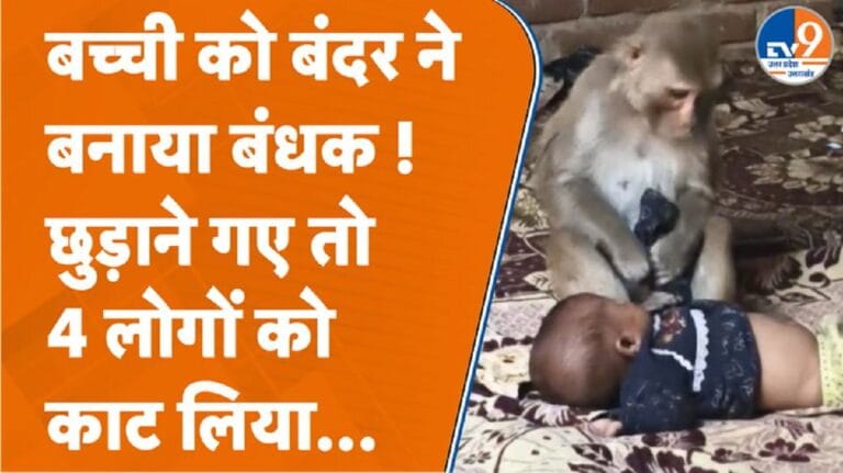 बंदर ने मासूम को बनाया बंधक, लोगों को काटा… फिर ऐसे बची जान