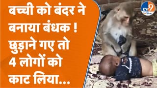 बंदर ने मासूम को बनाया बंधक, लोगों को काटा… फिर ऐसे बची जान