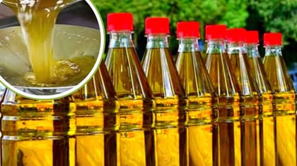 मिलावट पर एक्शन! खाद्य तेल बनाने और बेचने वाली 14 फर्में ब्लैकलिस्टेड