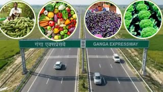 दिल्ली-NCR की मंडियों में रेट कंट्रोल करेगा हरदोई! रोज पहुंचेगी सब्जियों की खेप, गंगा एक्सप्रेसवे से आएगी खुशहाली