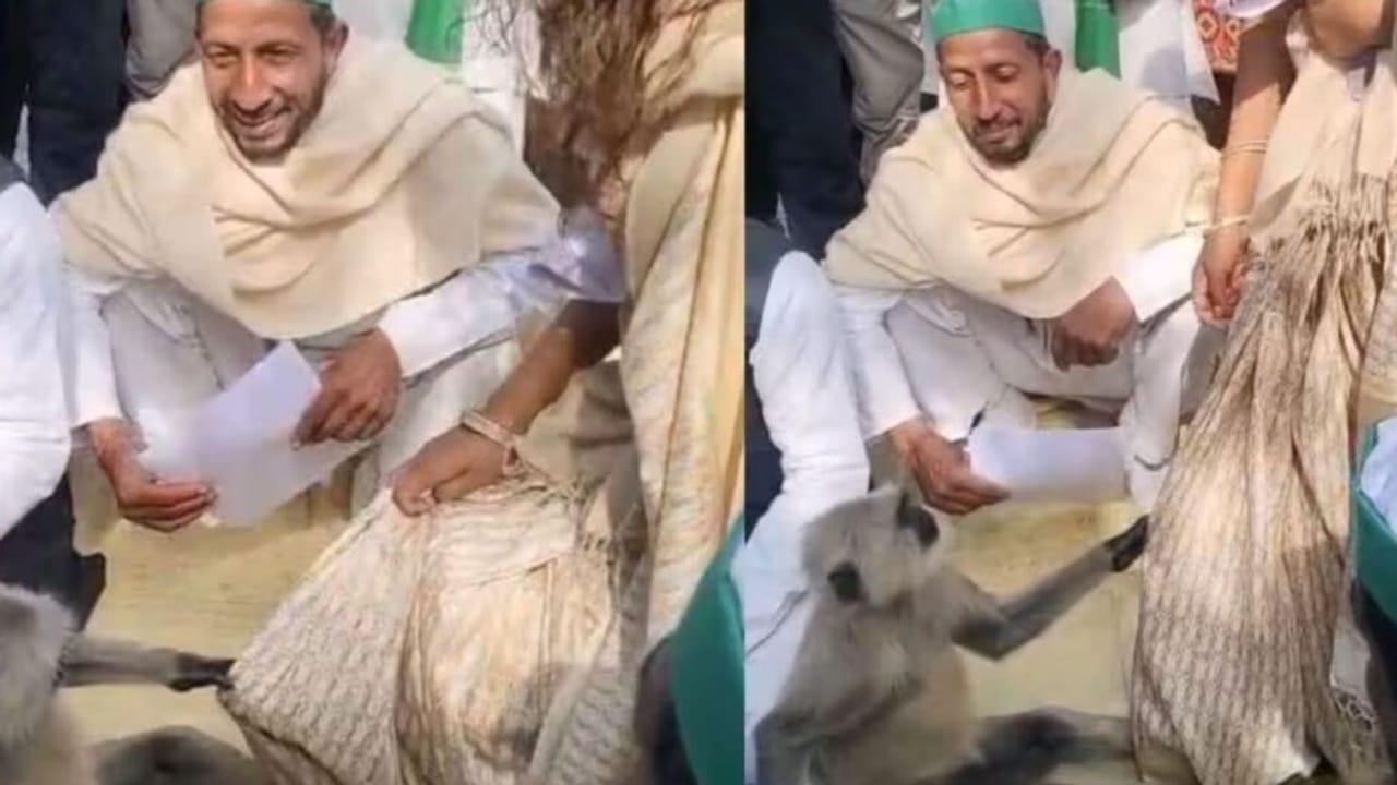 किसानों की समस्या सुन रही बागपत की DM, तभी पहुंच गया ‘मटरू’, रिएक्शन जीत लेगा दिल