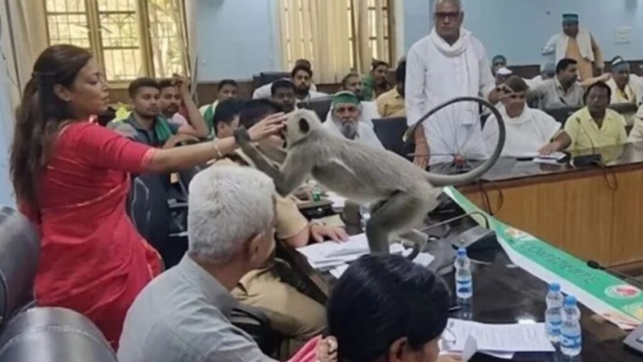 किसानों की समस्या सुन रही बागपत की DM, तभी पहुंच गया ‘मटरू’, रिएक्शन जीत लेगा दिल