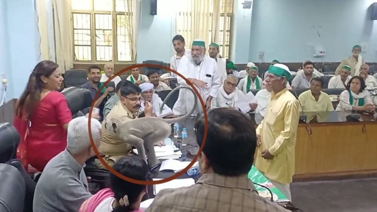 किसानों की समस्या सुन रही बागपत की DM, तभी पहुंच गया ‘मटरू’, रिएक्शन जीत लेगा दिल