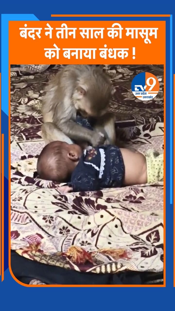 मुजफ्फरनगर में बंदर ने 3 महीने की बच्ची को बनाया बंधक, डेढ़ घंटे बाद रेस्क्यू