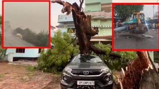 यूपी में आंधी-बारिश की आफत: 18 लोगों की मौत… पेड़-पोल गिरने से बिजली व्यवस्था भी चरमराई