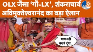 शंकराचार्य अविमुक्तेश्वरानंद बोले- OLX की तरह गौ-LX, गाय कटने से रोकेंगे