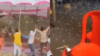 बाराबंकी में आंधी-बारिश का असर; शादियों के टेंट उखड़े, जान बचाने के लिए इधर-उधर भागे बराती