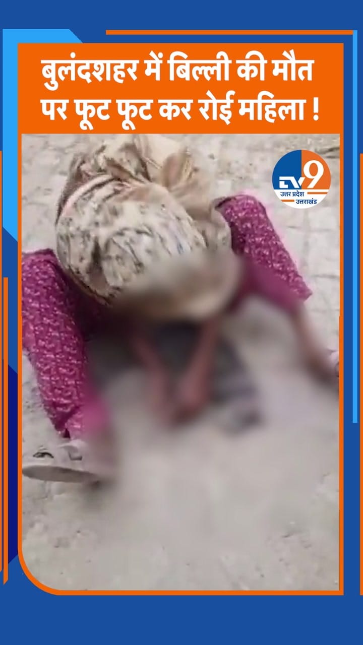 बुलंदशहर में बिल्ली की मौत पर फूट फूट कर रोई महिला!
