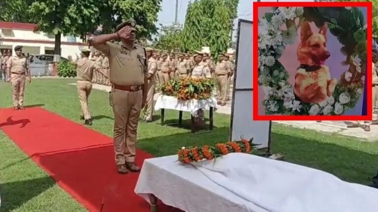 9 महिलाओं के हत्यारों को पकड़वाने वाला इंस्पेक्टर फेंग अब नहीं रहा