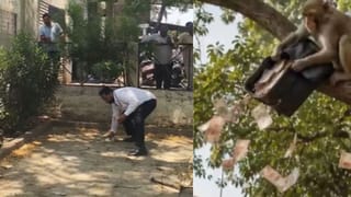 बुलंदशहर के कोर्ट में पेड़ से बरसे नोट, जल्दी-जल्दी बटोरने लगे लोग; हैरान कर देगी वजह