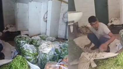 मंडी का टॉयलेट बना वेजिटेबल स्टोर, सब्जियों का बंडल बनाता दिखा शख्स
