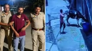 गाय को बेरहमी से पीटने वाला गिरफ्तार, हाथ जोड़कर बोला- दोबारा गलती नहीं करूंगा