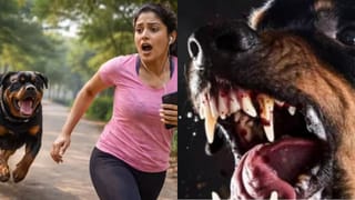 3 रॉटविलर कुत्तों ने महिला को भभोड़ डाला, 30 जगह नोचा; तभी देवदूत बनकर आया डिलीवरी बॉय