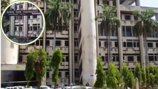 बुढ़ापे का प्यार, 60 की उम्र में शादी; फिर 4 साल में ही क्यों होने लगा तलाक?