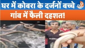 Viral Video: घर में सांपो का अड्डा, बस्ती के इस गांव में दहशत