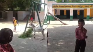 पाठशाला है कि पशुशाला… स्कूल में टीचर ने बांधी बकरी, बच्चों से कटवाया चारा; BSA ने लिया कड़ा एक्शन