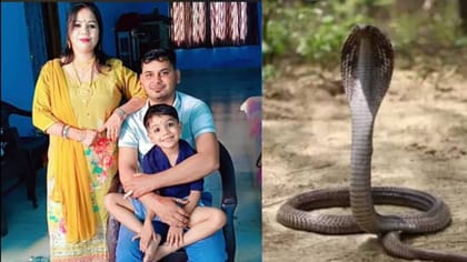 पहले लव मैरिज, फिर ड्राइवर से प्यार; BF से मिलकर पति को सांप से कटवाया
