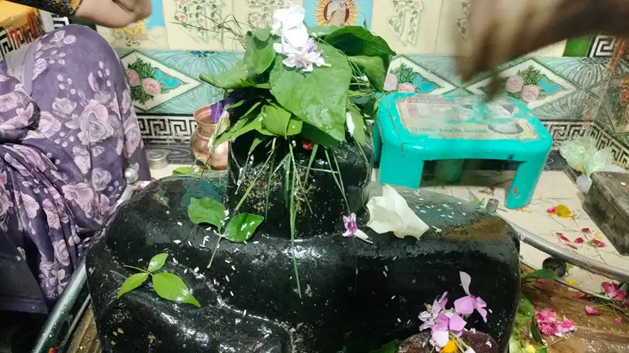 श्रीकृष्ण के आदेश पर अर्जुन ने यहां स्थापित किया था शिवलिंग! सावन में उमड़ते हैं हजारों भक्त श्रीकृष्ण के आदेश पर अर्जुन ने यहां स्थापित किया था शिवलिंग! सावन में उमड़ते हैं हजारों भक्त