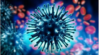 मुरादाबाद में स्वाइन फ्लू की दस्तक, H1N1 मरीज मिलने से हड़कंप; CMO ने जारी की एडवाइजरी