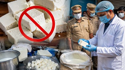एनालॉग पनीर पर क्यों लगाना पड़ा बैन,बनाने का तरीका जान छोड़ देंगे खाना