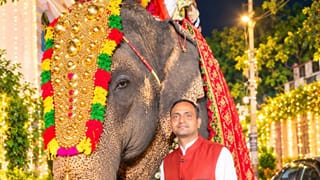 राजस्थान से सहारनपुर आई 32 साल की मैना हथिनी, फोटो खिंचवाते समय खुद देती है पोज!